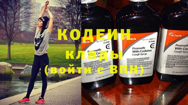 мяу мяу мука Кодинск
