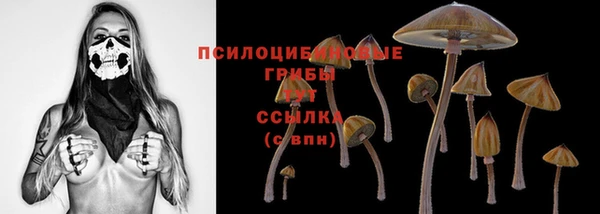 мескалин Козельск