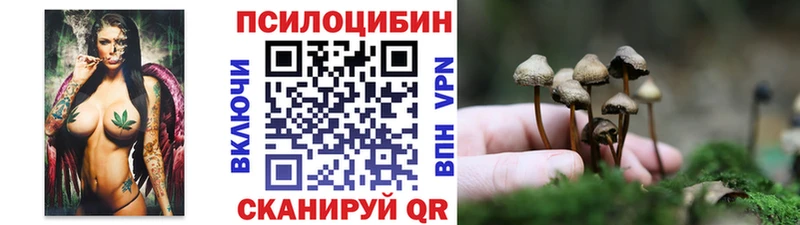 Псилоцибиновые грибы GOLDEN TEACHER  Купить  Слюдянка 