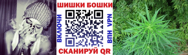 Купить где  Слюдянка  Конопля Amnesia 